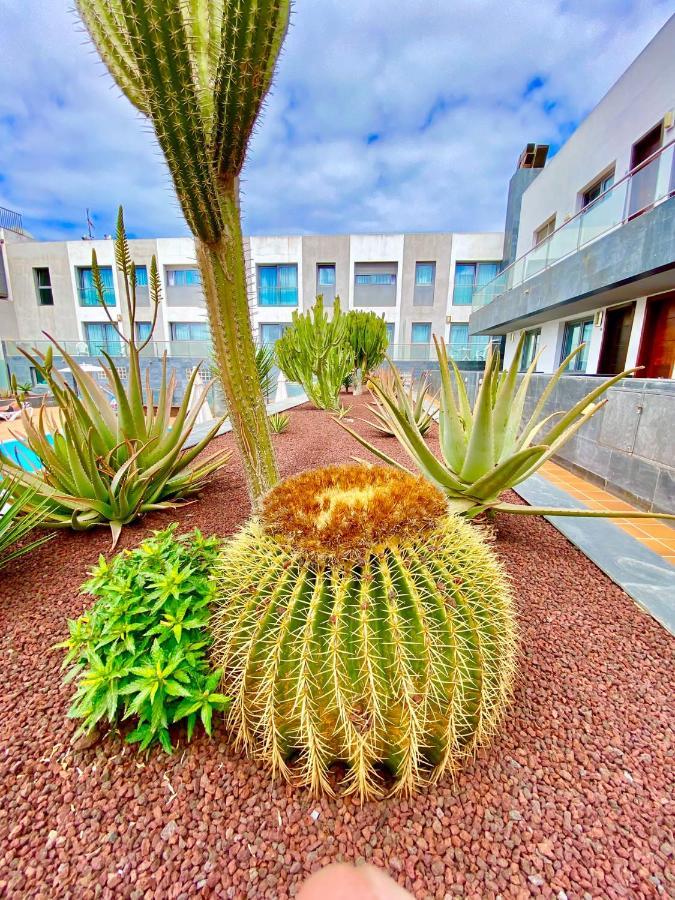 Mar De Fuerteventura 2 Lägenhet Corralejo Exteriör bild
